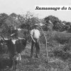 2025-Travaux-des-champs